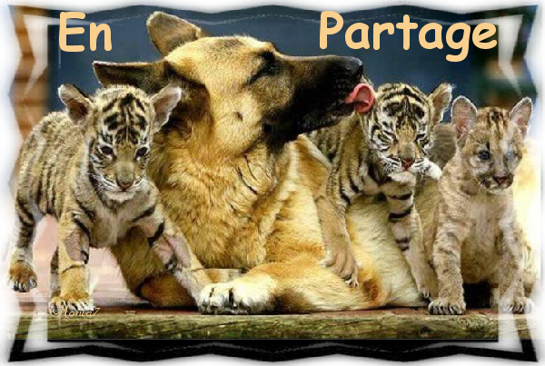 en partage
